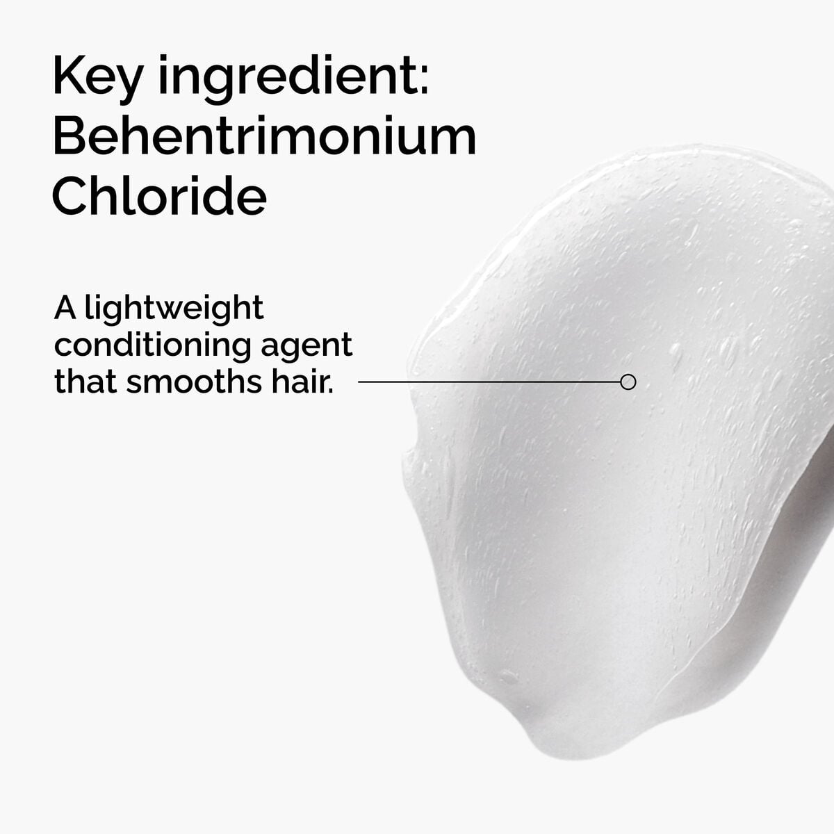 behentrimonium-chloride-2-conditioner-h1 FY25-D41247-ORD-Web-PDP-BTC-1x1-EN-2a.jpg