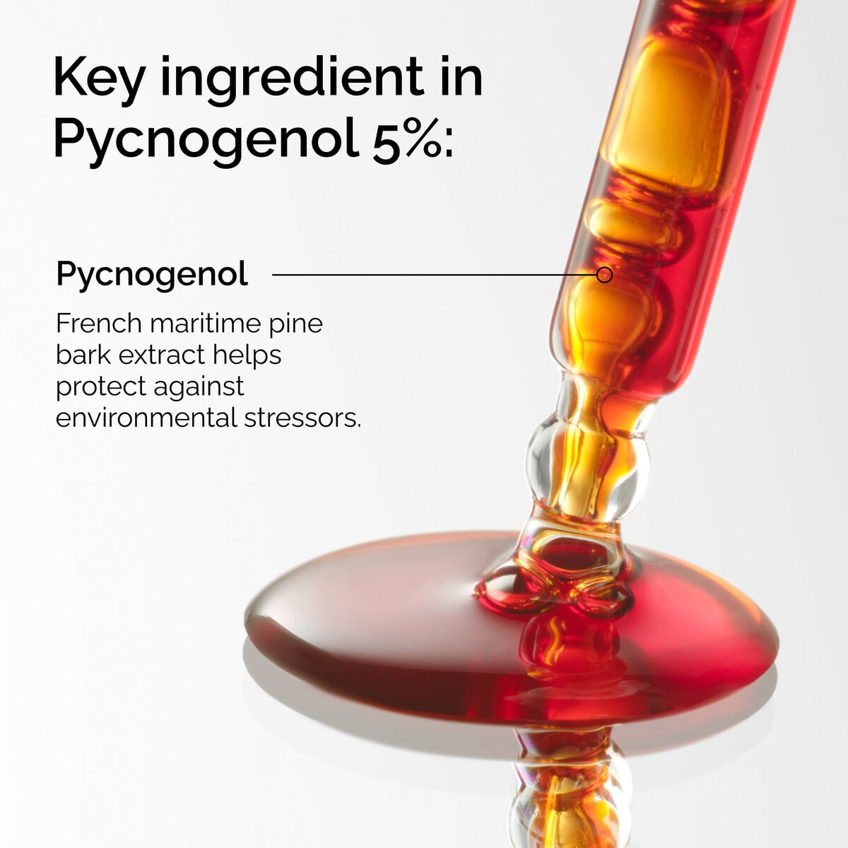 pycnogenol-5-l5 FY25-D41247-ORD-Web-PDP-Pyc-5pct-1x1-EN-2a.jpg