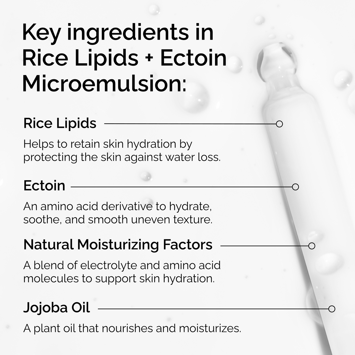 rice-lipids-ectoin-microemulsion-j5 ord-rice-lipids-ectoin-microemulsion-key-ingredients.png