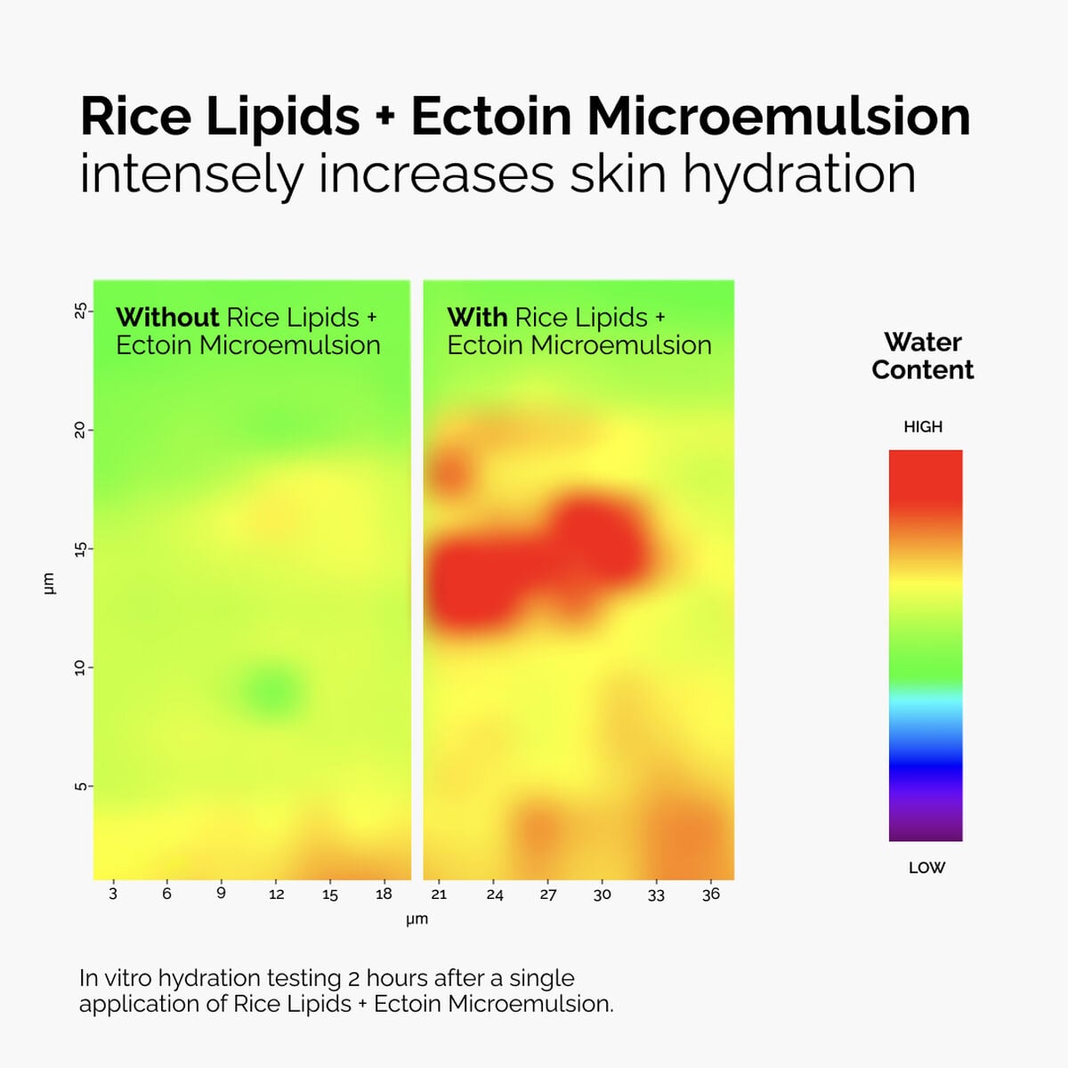 rice-lipids-ectoin-microemulsion-j5 ord-rice-lipids-ectoin-microemulsion-thermal-before-after.jpg